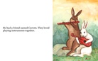 The Rabbit who had Many Adventures