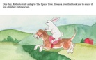 The Rabbit who had Many Adventures