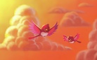 For the Birds