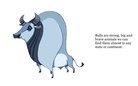 Big, Brave Animals