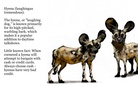 The Book of Unstandard Animals, Vol.1: Ears and Noses