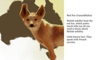 The Book of Unstandard Animals, Vol.1: Ears and Noses