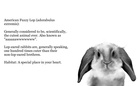 The Book of Unstandard Animals, Vol.1: Ears and Noses