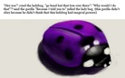 The Bossy ladybug.