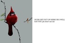 STORY OF THINGS