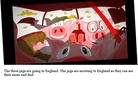 The pigs to England!!