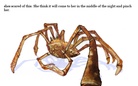 This is my nightmare story.....