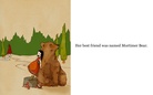 Gracielocks & Mortimer Bear