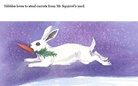 The Adventures of Nibbles
