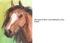 Horse Love 1