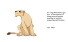 The Knotty leopard