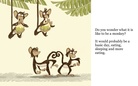 Monkeys