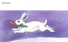 Funny Bunny