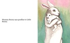A Day Out with Little Bunny