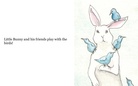 A Day Out with Little Bunny