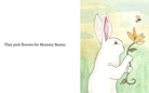 A Day Out with Little Bunny