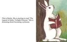 The Bunny Book Two!!