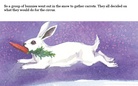 The amazing rabbit circus!