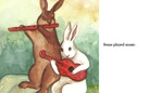 The amazing rabbit circus!