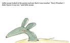 Little Mouse and Wombat