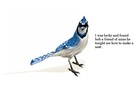 Tweet's Adventures.