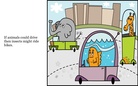 Animals & Insects