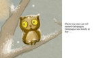 The Lonely Owl