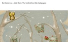 The Lonely Owl