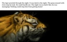 The Wildlife