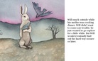 The Wise Tail                   By Megan Greer