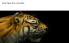 This World