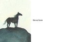the    book