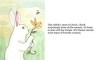 Chuck the Rabbit and His Friends