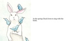 Chuck the Rabbit and His Friends