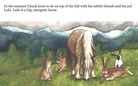 Chuck the Rabbit and His Friends