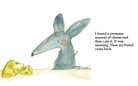 Life of a mouse