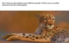 All the diffrent animals