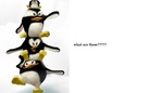 animls