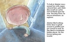 Into the Unknown: The Adventures of Alastair.