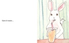 A Rabbit's Life