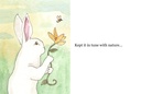 A Rabbit's Life