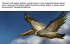 Nature song