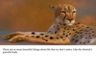 The Beautiful Things About Life