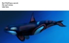 Wolf isn't allowed to Swim!