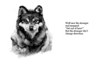 Wolf isn't allowed to Swim!