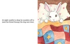 Usagi's Great Journey