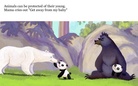 Animal's On The Earth!