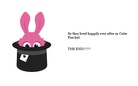 The little magic bunny