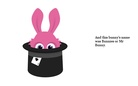 The Soccer Bunny