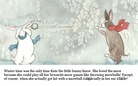 Kate, the little bunny in the snow